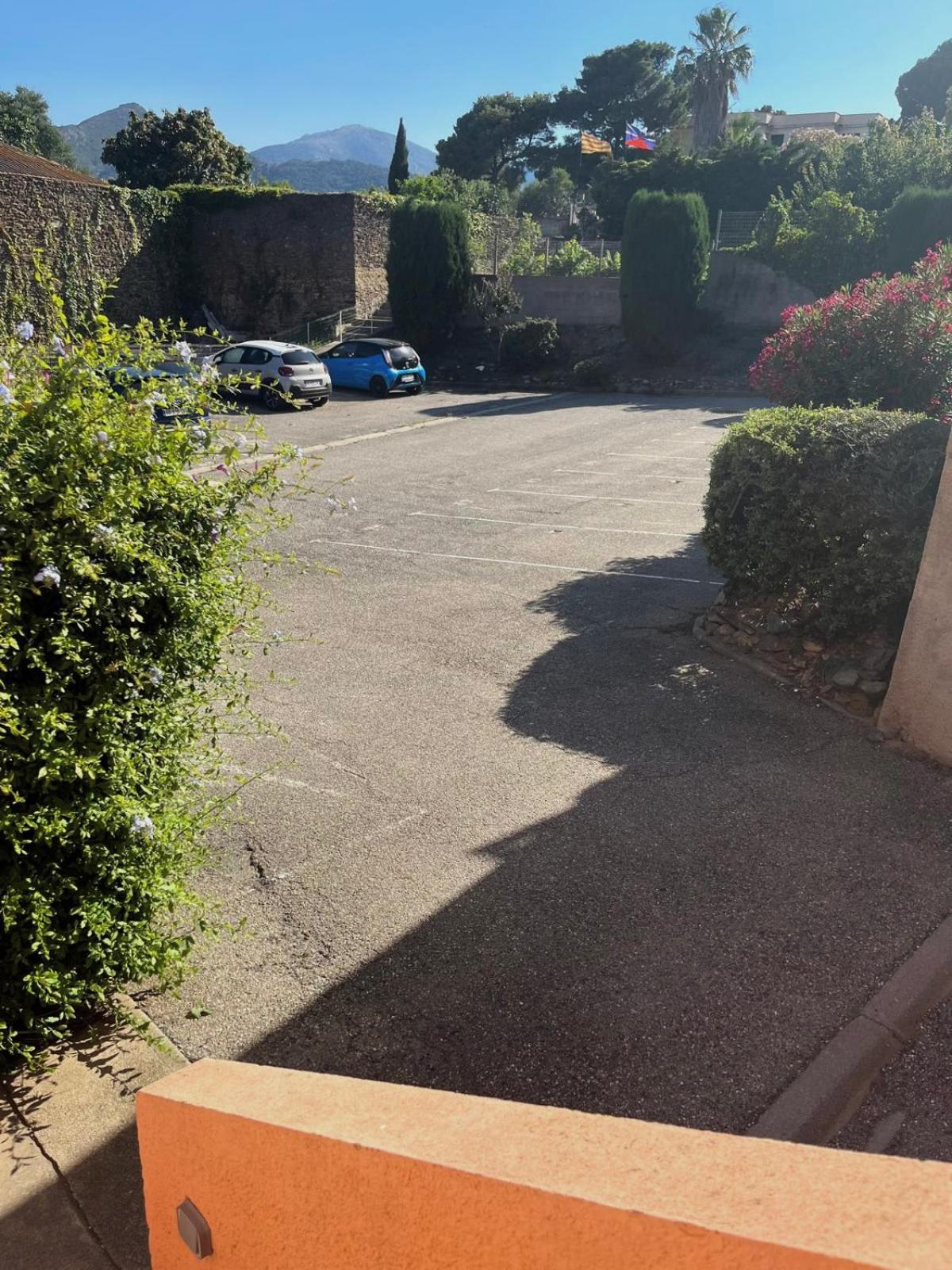 Appartement Collioure, Grande Terrasse Et Parking Eksteriør billede