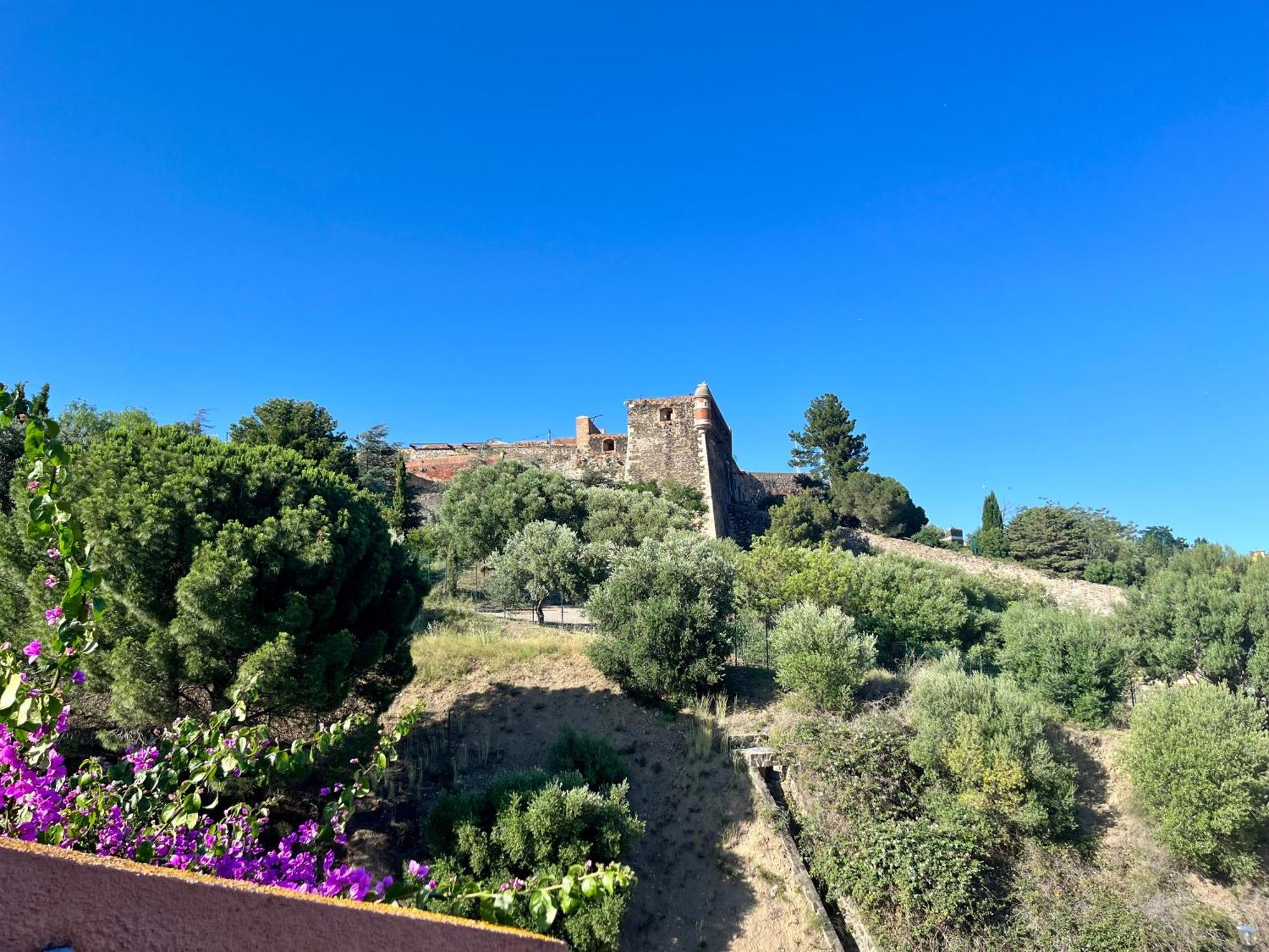 Appartement Collioure, Grande Terrasse Et Parking Eksteriør billede