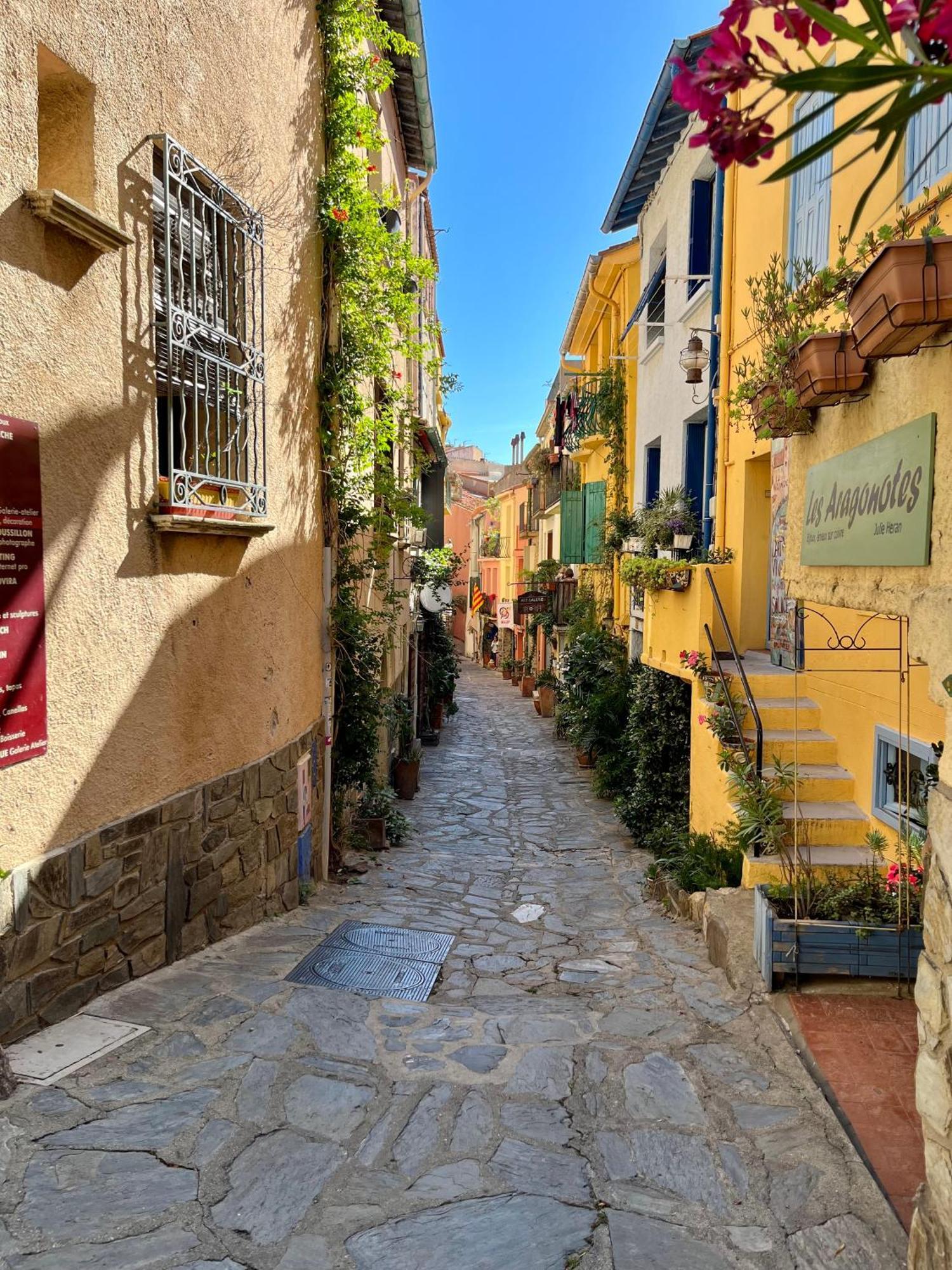 Appartement Collioure, Grande Terrasse Et Parking Eksteriør billede